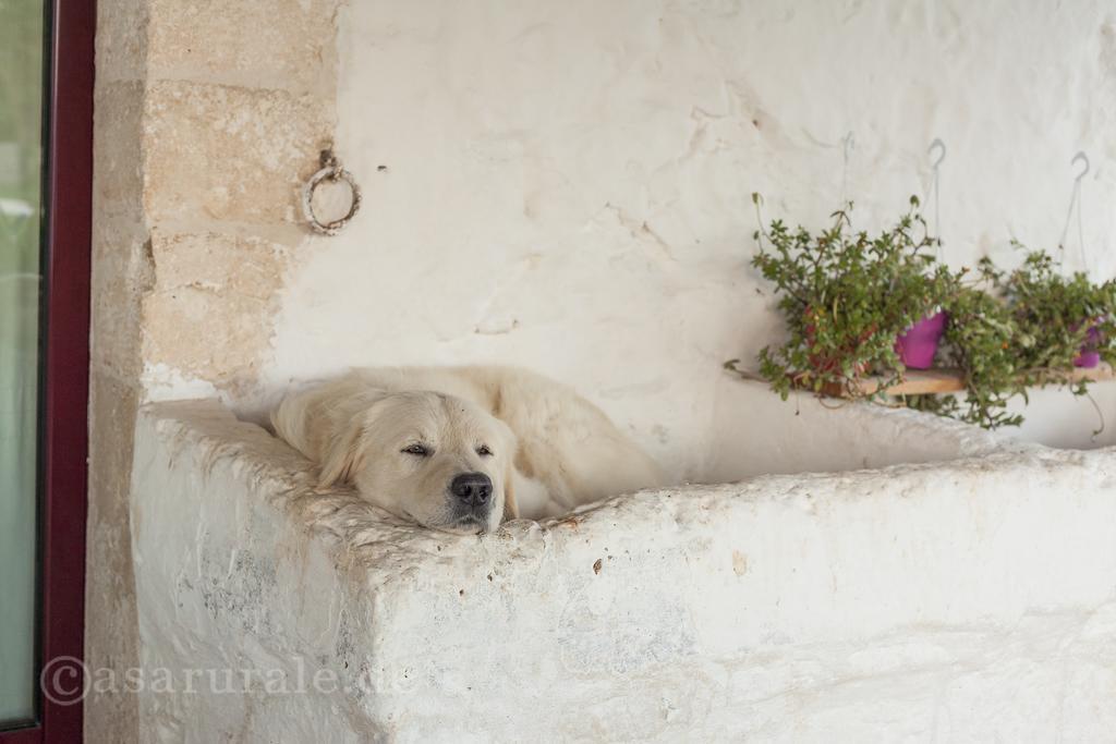 Masseria Ferri Ostuni Extérieur photo